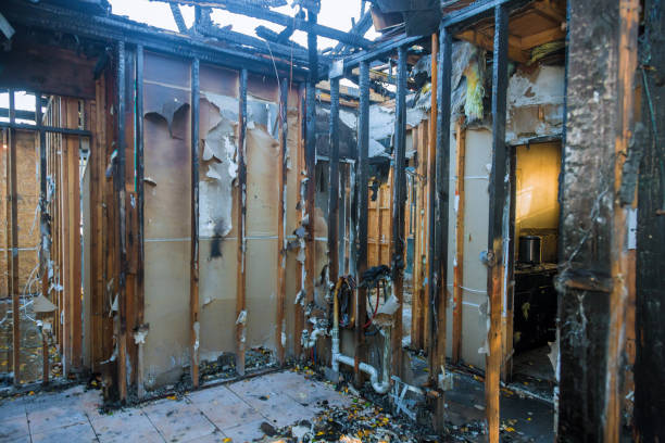 Professional Fire Damage Repair technician working in Bladensburg, MD